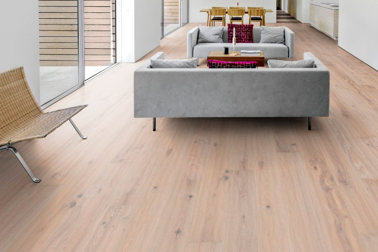 Специальная Коллекция