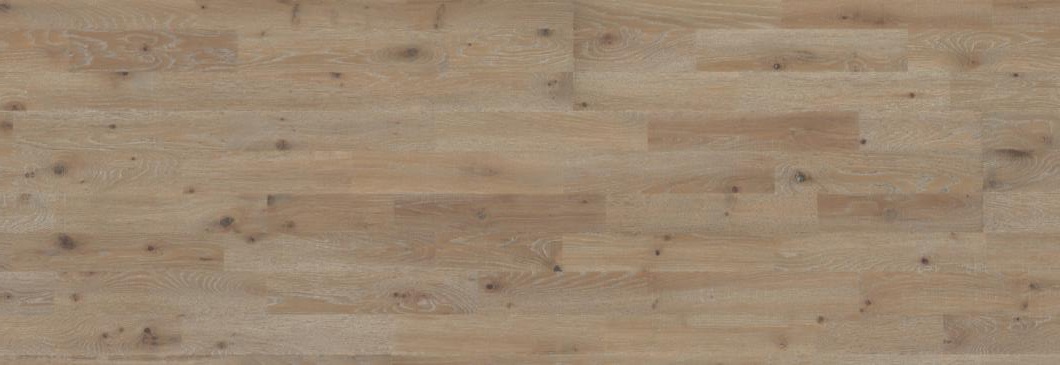 Дуб Винга (Vinga)