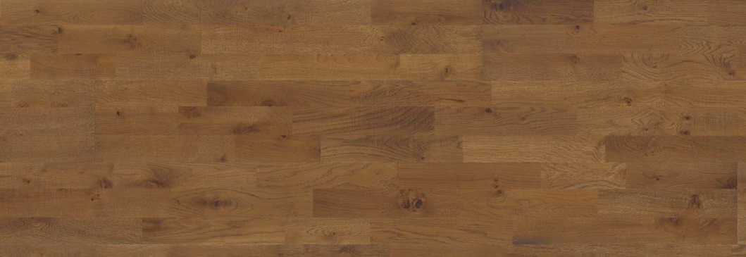 Дуб Бакка (Backa)