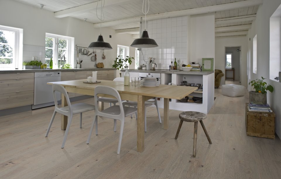 Дуб Фанди (Fundy)