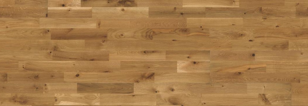 Дуб Буда (Boda)