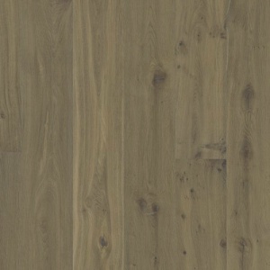 Дуб Юдре (Ydre)