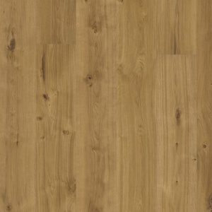 Дуб Ведбо (Vedbo)