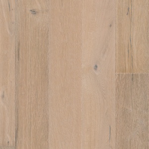 Дуб Густаф (Gustaf)