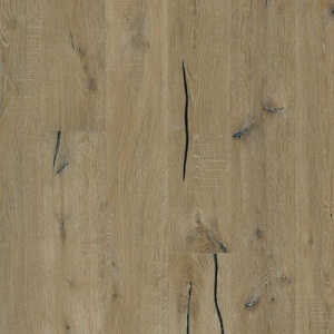 Дуб Кинда (Kinda)