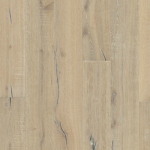 Дуб Аспеланд (Aspeland)